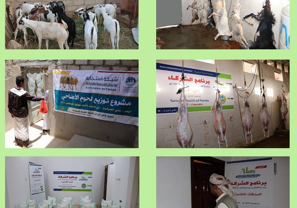 استفاد منها ( 750) أسرة .. المؤسسة تختم برامج عشر ذي الحجة و الأضاحي لعام 1439 هــ